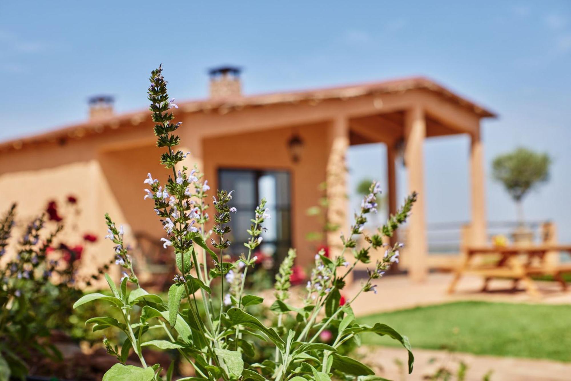 Bed and Breakfast Dar Imiri Ourika Exterior foto