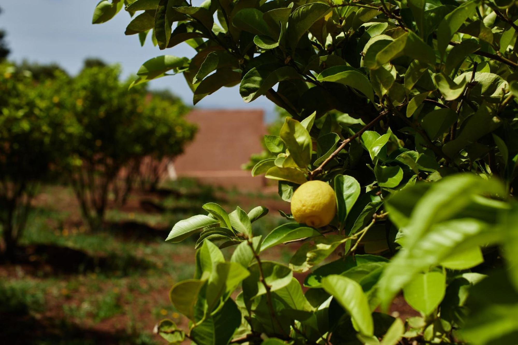 Bed and Breakfast Dar Imiri Ourika Exterior foto